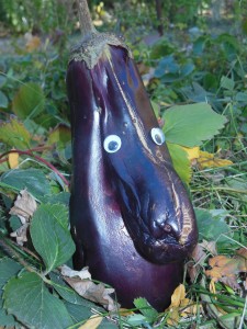 A Taste Of Phillips, October 19-21