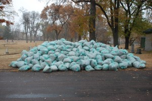 Hundreds of Scouts and Friends are Cemetery”'s Caretakers throughout the year