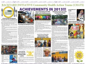 BACKYARD INITIATIVE Community Health Action Teams (CHATS): ACHIEVEMENTS IN 2013!!!