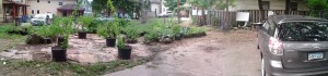 Growing the Backyard adjacent to the Cultural Wellness Center