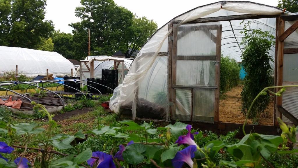 Hoop houses at one of Stone”'s Throw vacant lot locations on 15th Ave. S. PHOTO CREDIT: Cherry Flowers