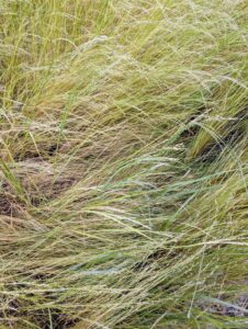 A New Public-Private Park Opens at Columbus and Lake