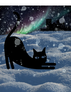 Gratitude to Readers